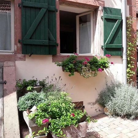 Charmant Petit Appartement En Alsace Bouxwiller  Dış mekan fotoğraf