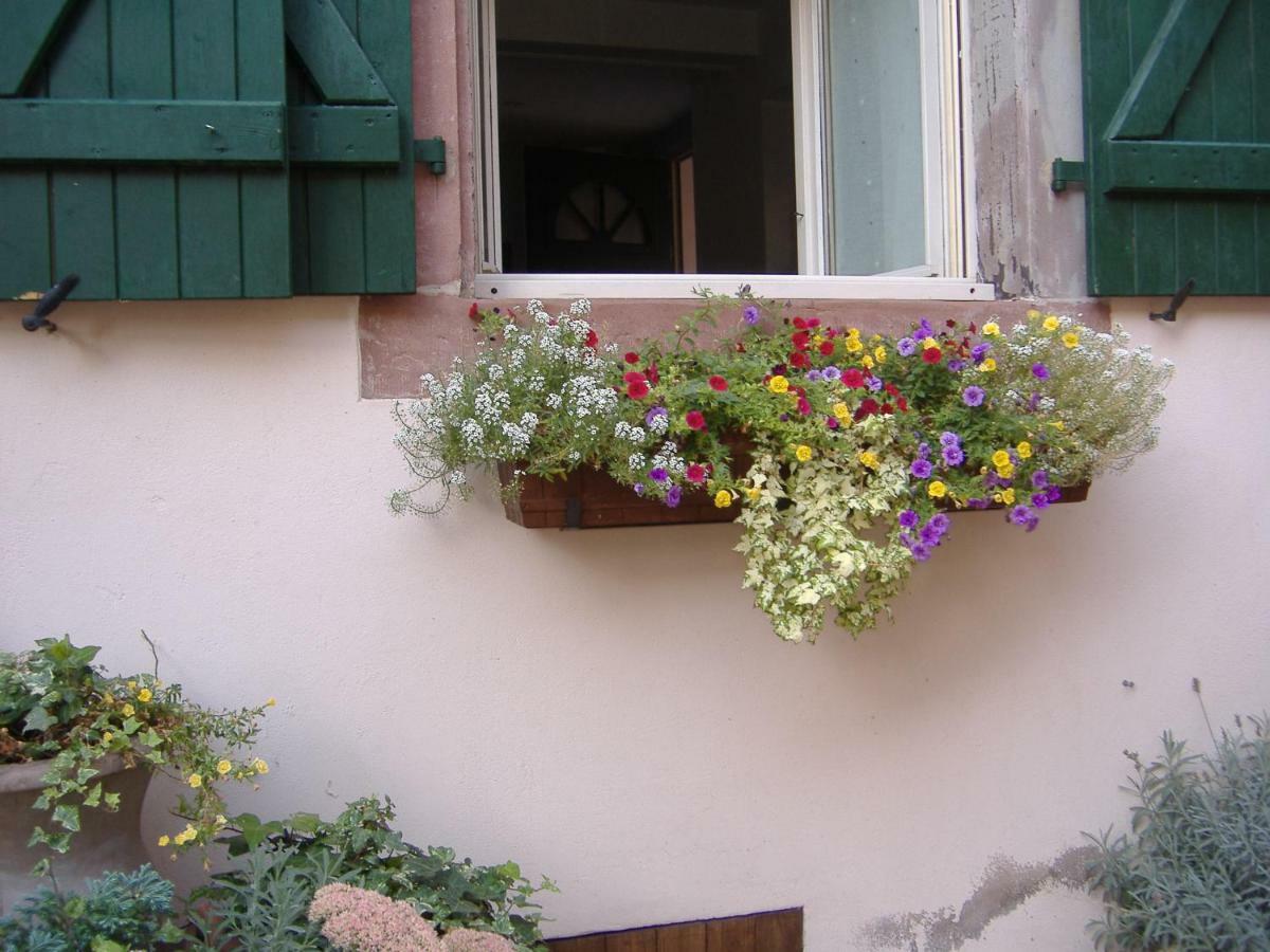 Charmant Petit Appartement En Alsace Bouxwiller  Dış mekan fotoğraf