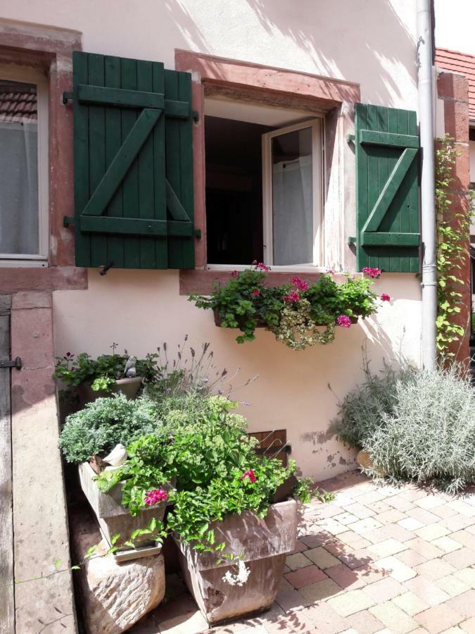 Charmant Petit Appartement En Alsace Bouxwiller  Dış mekan fotoğraf